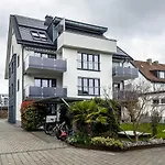 Amsel - Vogelhaus *