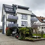 Amsel - Vogelhaus Friedrichshafen