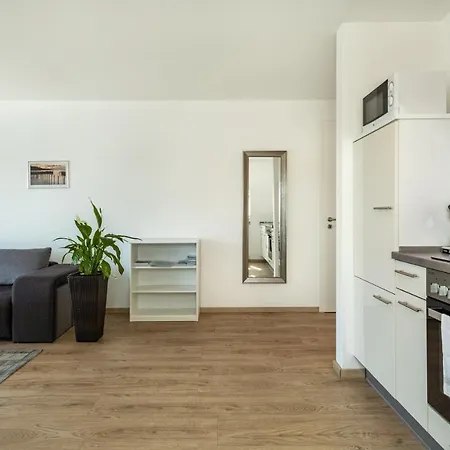 Amsel - Vogelhaus * פרידריכסהאפן