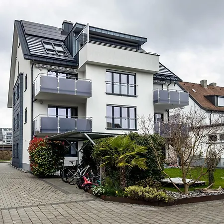 Amsel - Vogelhaus Friedrichshafen