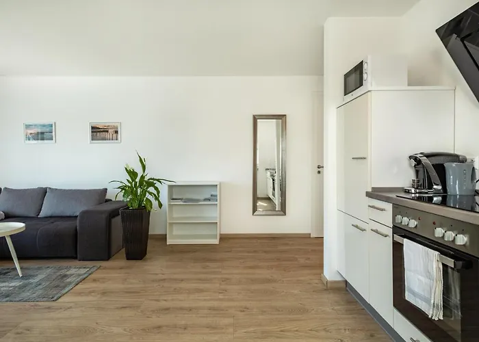 Amsel - Vogelhaus * Фридрихсхафен